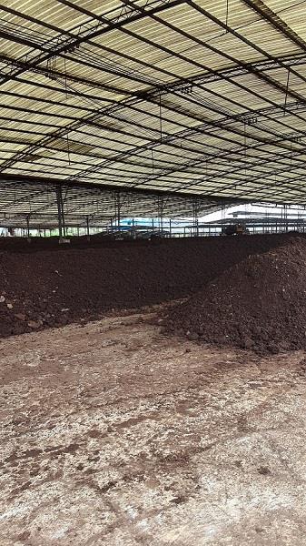 在佛得角圣地亚哥岛圣多明戈斯市莫亚莫亚社区