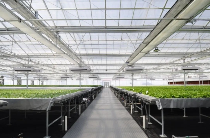 四川泸州28年前“花坛藏尸案”告破