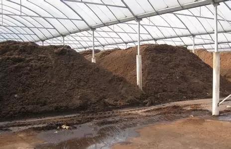 商水县平店乡东邓店村种粮大户王立明等蹲在麦田查看小麦生长现状